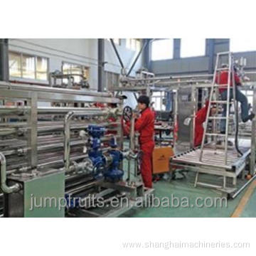 hot sale papaya processing cutting machine